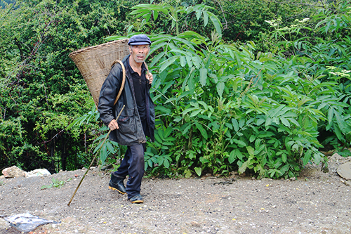 1.一位三转弯村村民在去拾柴的路上。 通讯员马晓晴 摄影