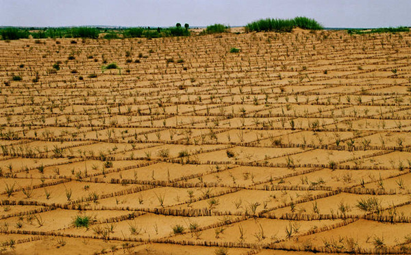 MAIN201707311427000592430227840_副本