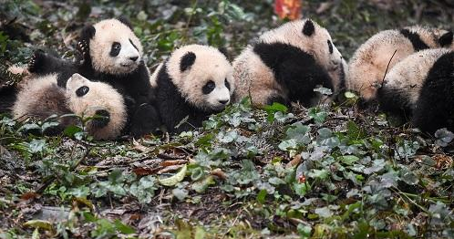 QQ截图20170927111549