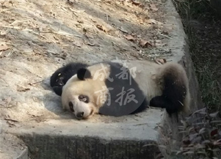 5D4C4F34982FE5F139DB0F4FE6F75C3EFF300EE8_size130_w439_h317_副本