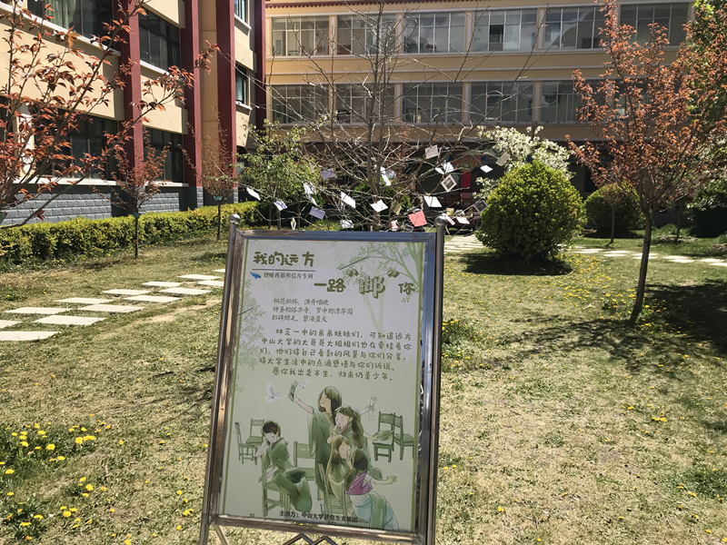 图为将明信片挂到树枝上的校园一角