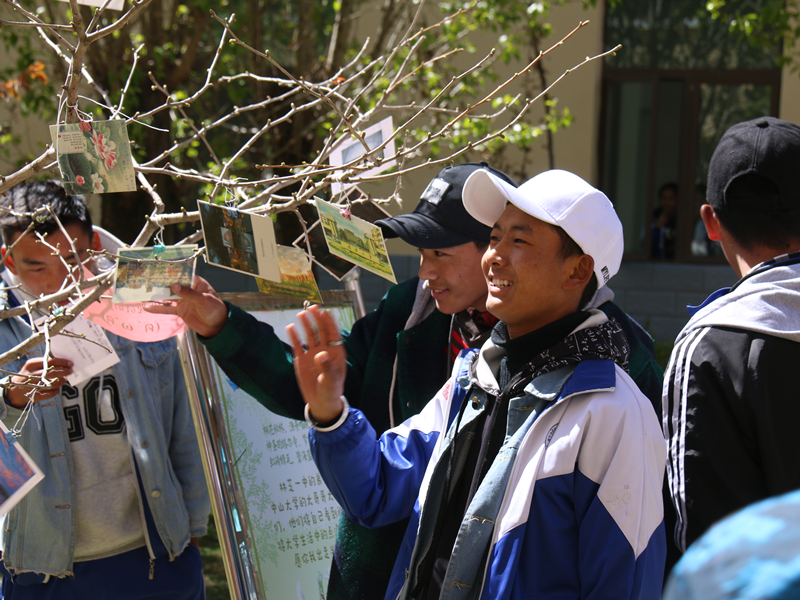 图为驻足观看的高三学生