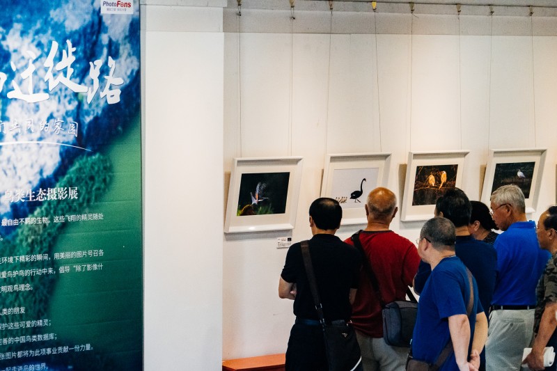 守护候鸟迁徙路公益环保活动在北京动物园召开图片