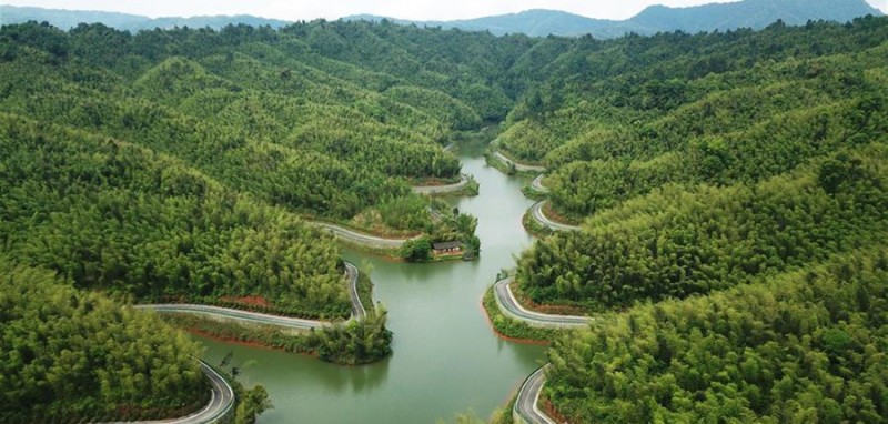 这是5月10日无人机拍摄的赤水竹海国家森林公园景区的旅游公路。