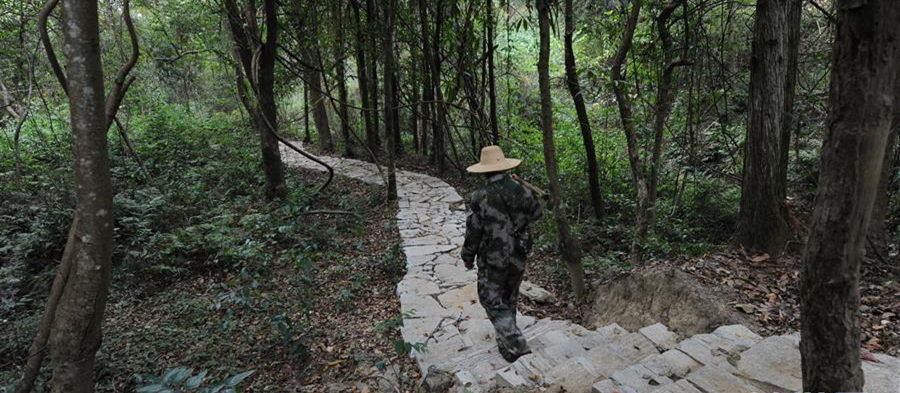 10月16日，皮海云在江西新干黎山林场连坑分场巡山。
