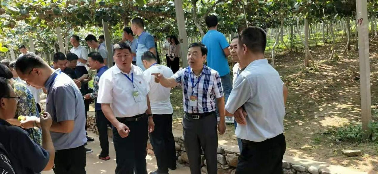 图片 5