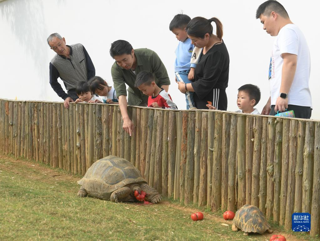 5月18日，保护中心的创立者田力（左四）给前来研学的家长和孩子介绍陆龟的习性。

新华社记者 翁忻旸 摄