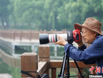 河北邯郸七旬老人拍鸟类15年 见证滏阳河沿岸生态改善