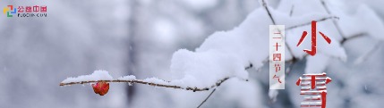 今日小雪：你的城市下雪了吗？