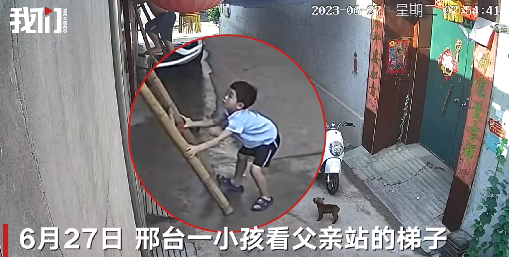 图片1