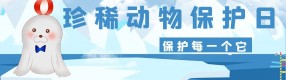 国际珍稀动物保护日：枪响之后没有赢家