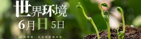 世界环境日：每一份绿色都值得被守护