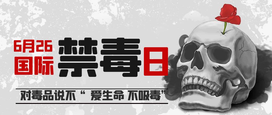 图怪兽_国际禁毒日骷髅灰色简约公众号首图