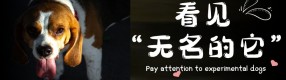 走近科研界的“小英雄”，一串编号可能就是它的一生