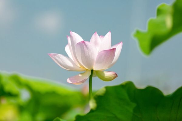 图怪兽_未命名