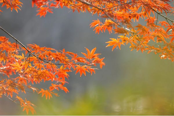 图怪兽_未命名