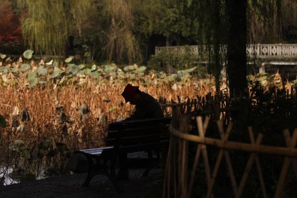 图怪兽_未命名(3)
