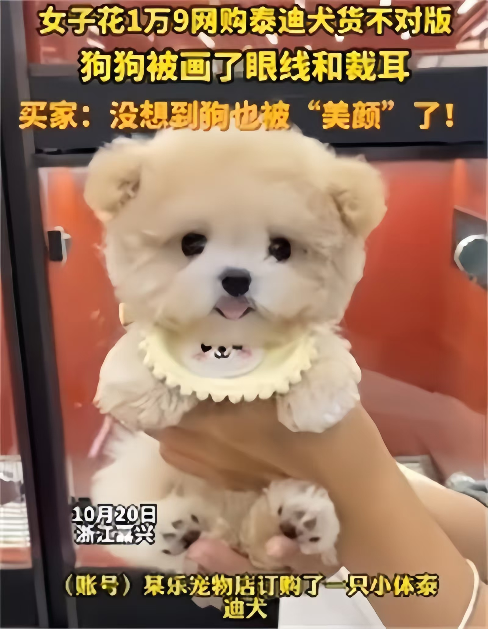 微信图片_20241025154058