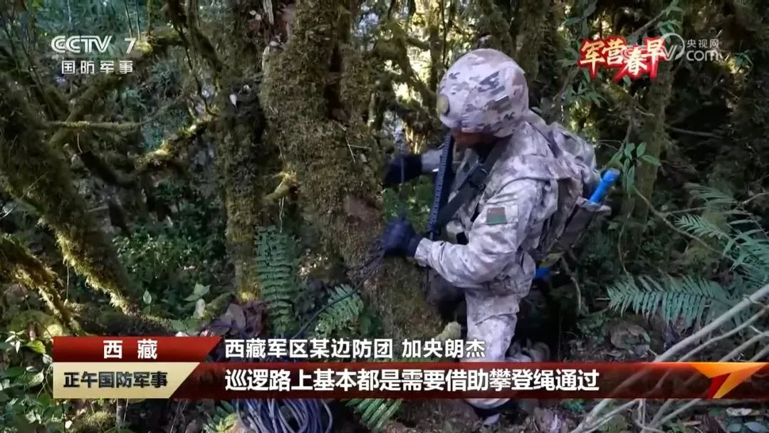 图片4