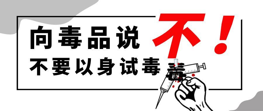 图片 5