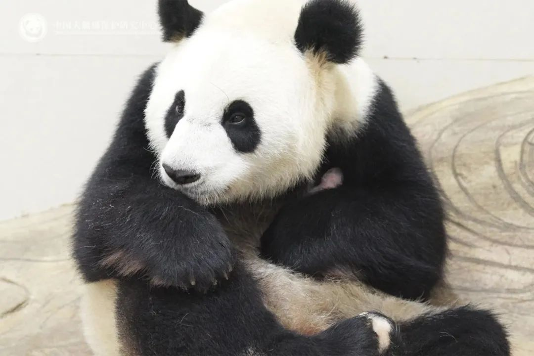 图片 5