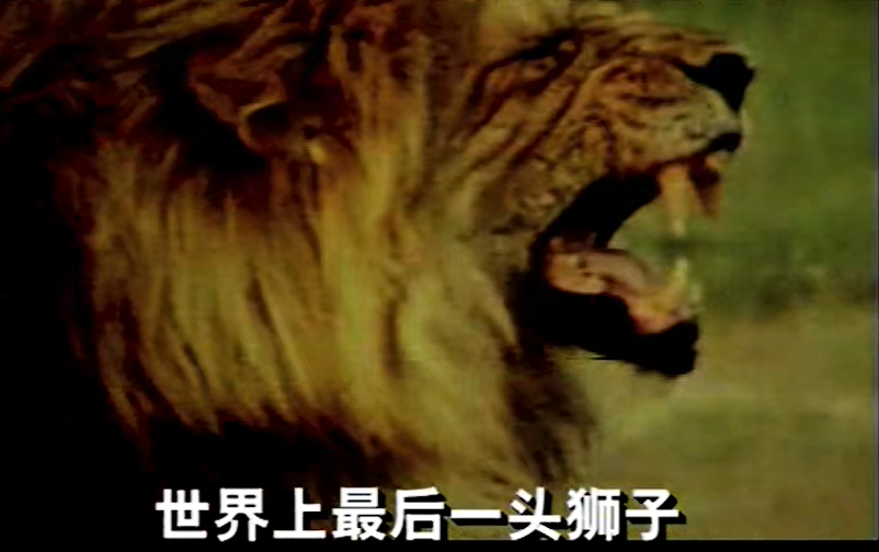图片 10
