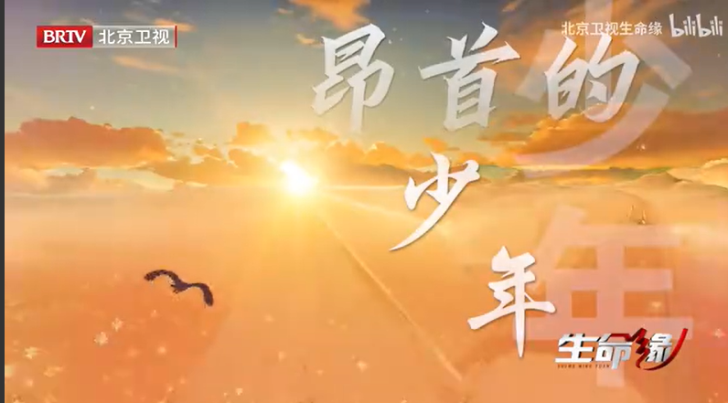 图片 8