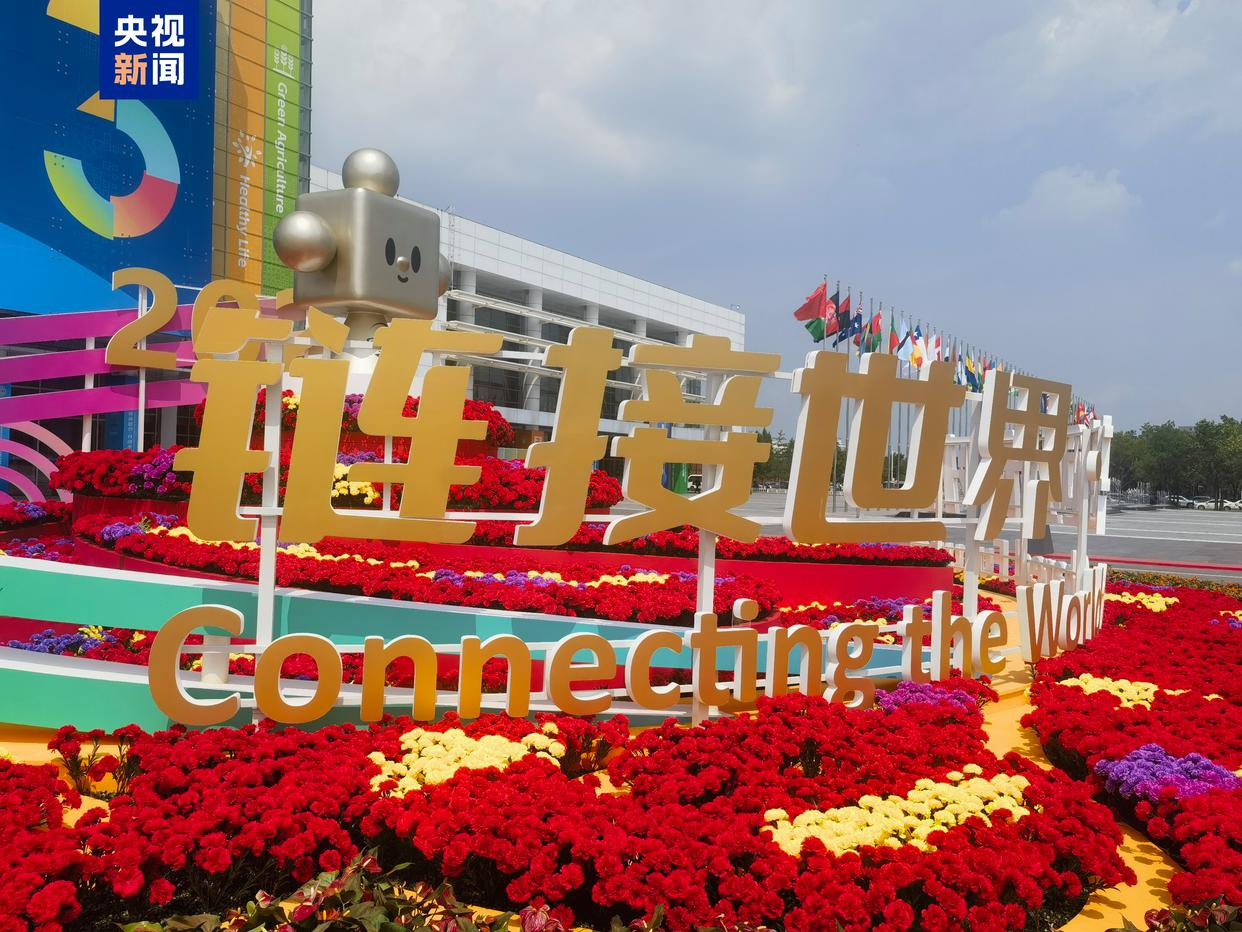 图片 5