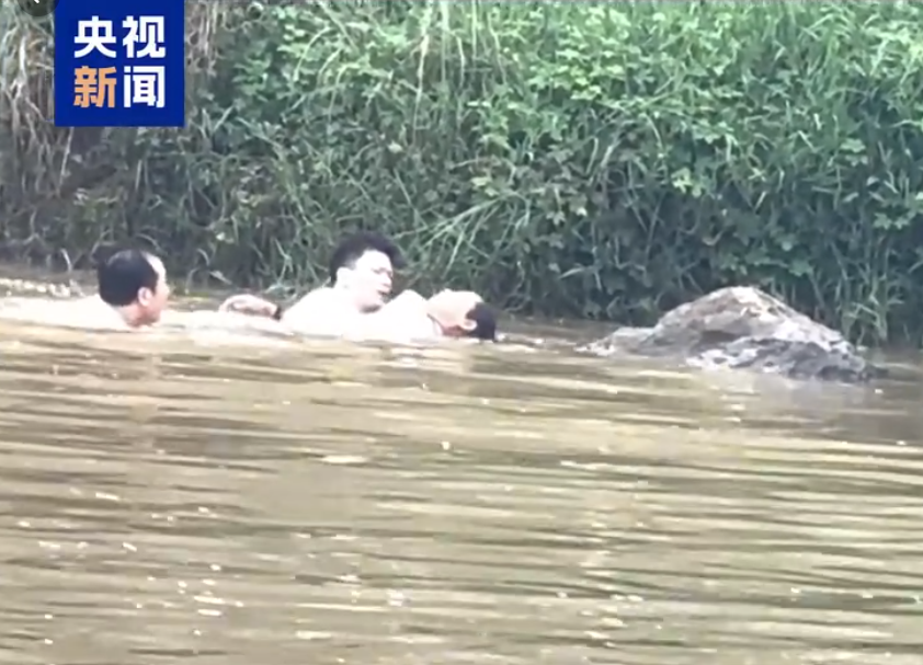 图片 4