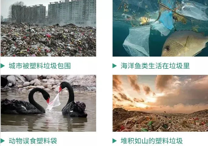 640_看图王