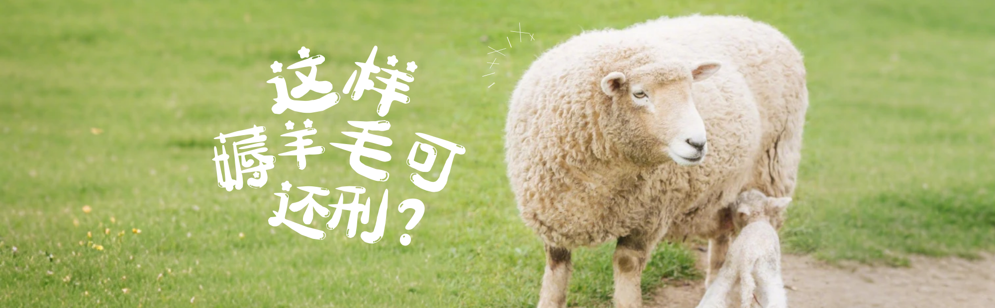 用AI假图骗“仅退款”，可太“刑”了！