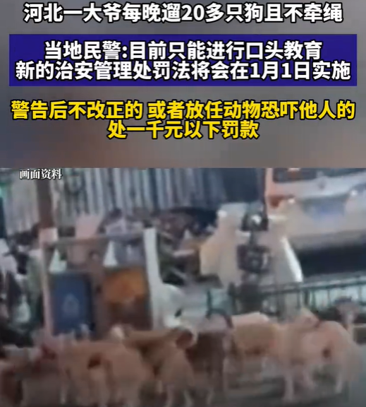 搜狗高速浏览器截图20251224152322