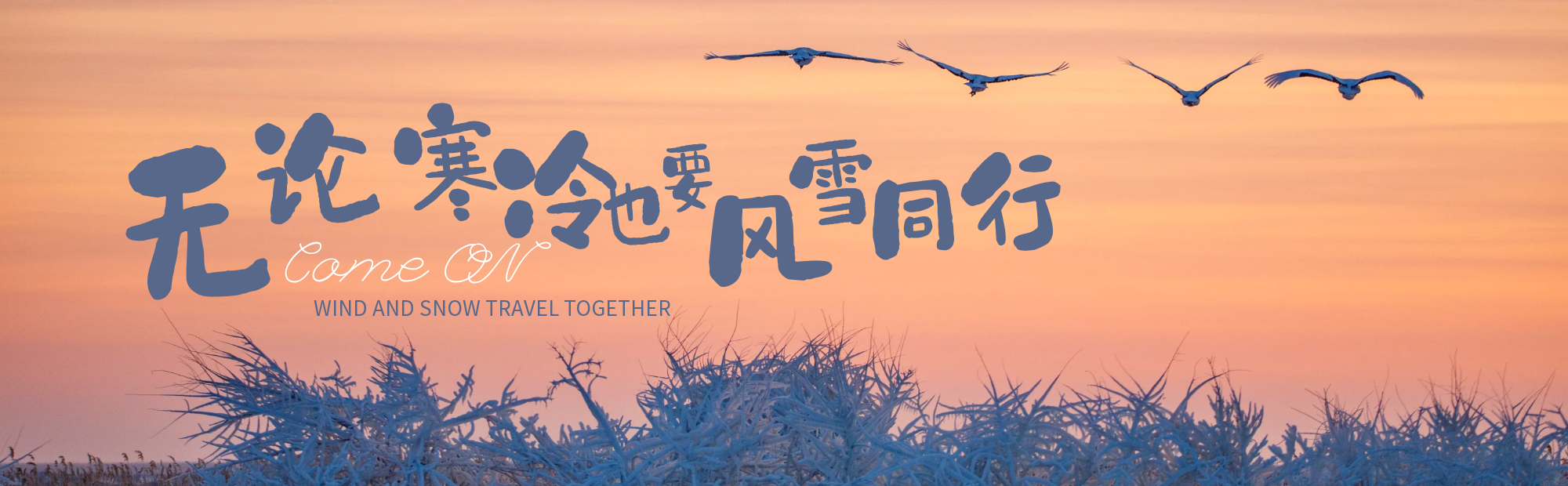 公益人最好的心态