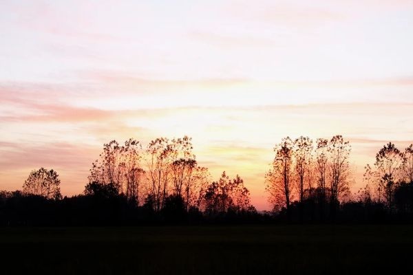 图怪兽_艾滋病零歧视医生蓝色简约公众号首图(8)