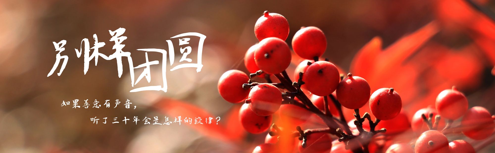 万家灯火的春节，别忘了另一种“团圆”