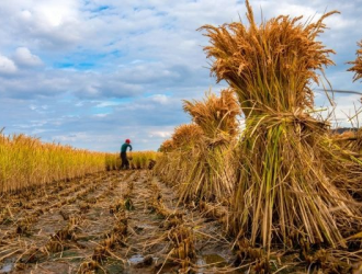 把愿景种进田野，让希望生根发芽