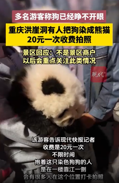 图片 5