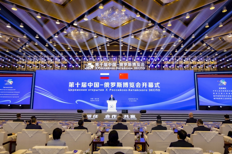 图片4