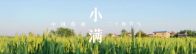花未全开月未圆，人生最好是小满