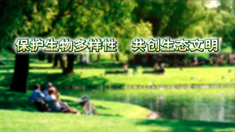 截图20260522112055