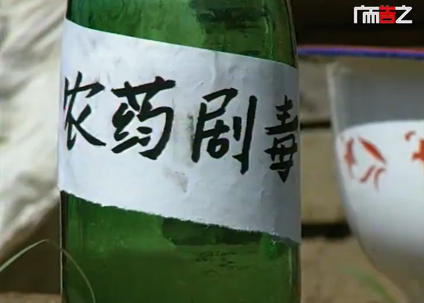 图片6