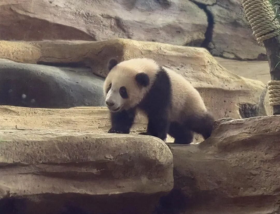 图片 3