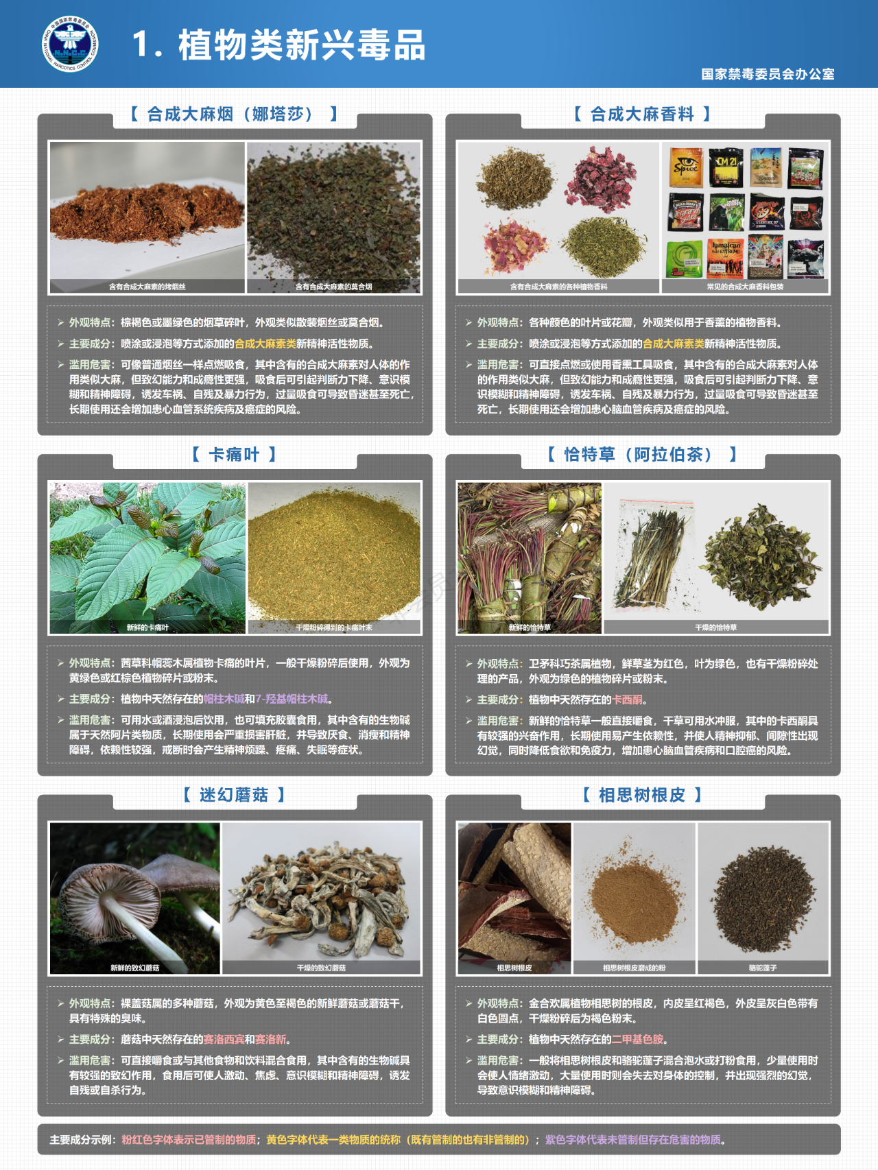 图片7