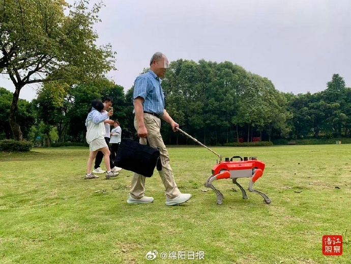 图片8