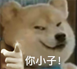 图片4