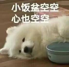 图片8