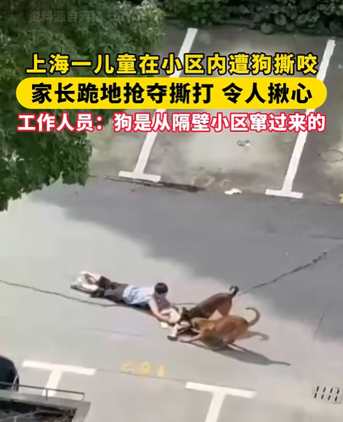 图片6