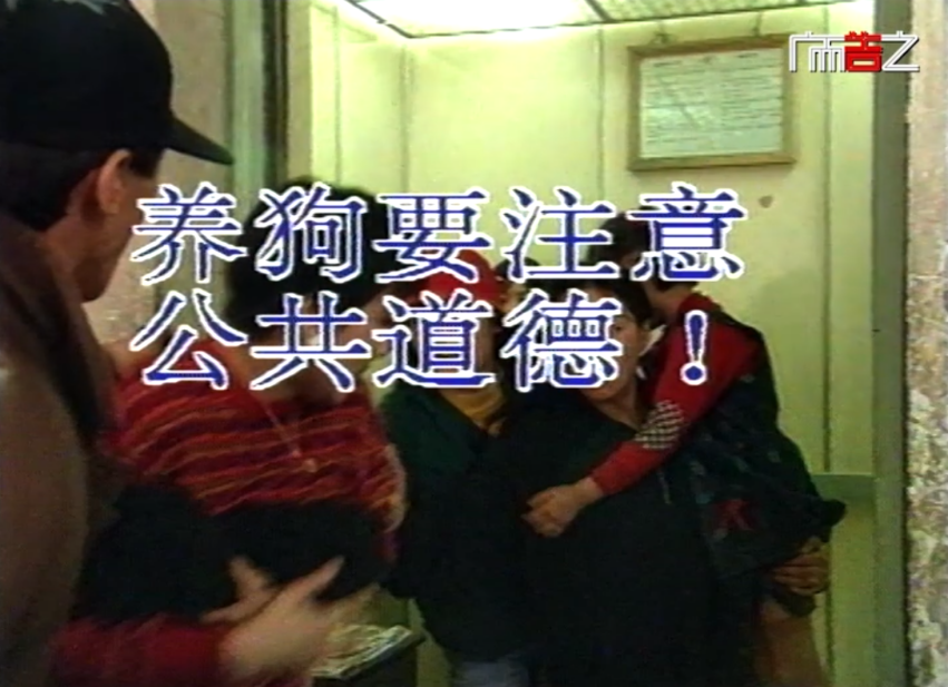 图片7
