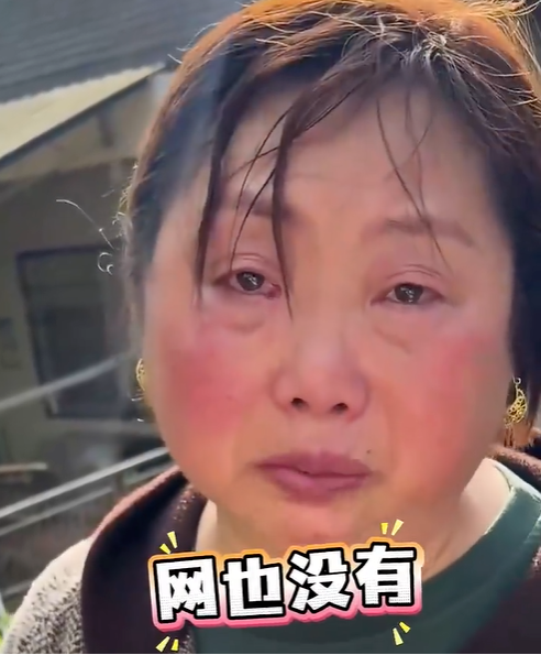 图片7