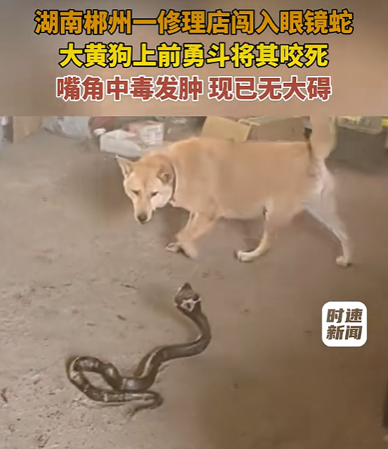图片3